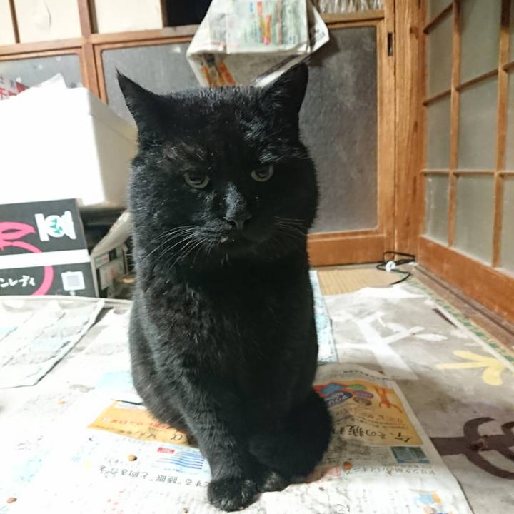 114a4892 eda6 4043 a919 f1a08929969b 1648121646398