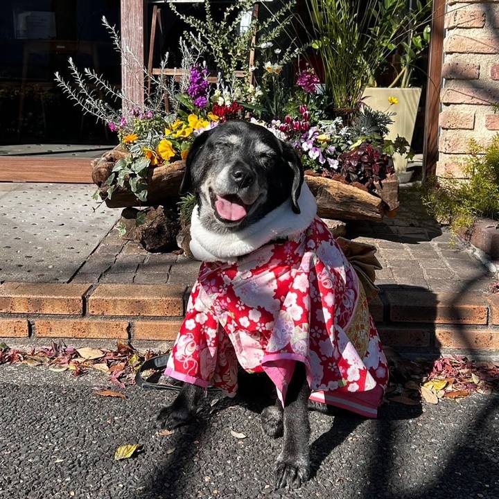 114a66f6 9b86 467e 8c02 df8d72621771 1735711746233