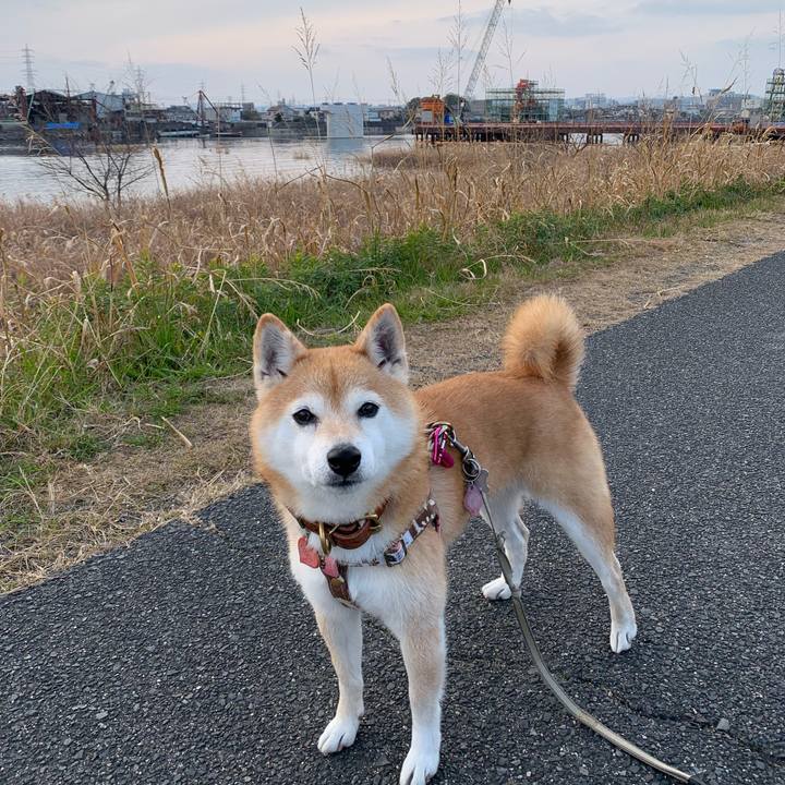 114a6cb3 7459 4f46 b702 53ee3de9915c 1641784903465