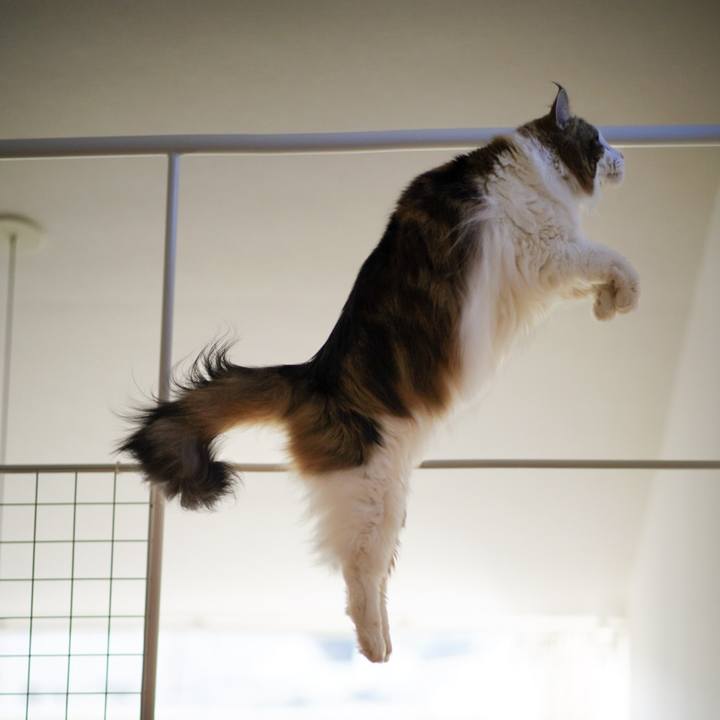 114a6f41 c3a2 4ab8 85eb b6a826812ab6 1675055793537