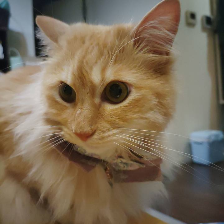 114aaedc e8aa 461e aca0 bbb8fb4e8e72 1717936581957