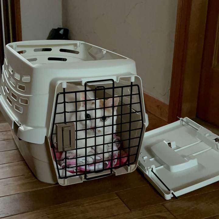 114ab489 d103 412a a284 d36c0a321759 1673668390053