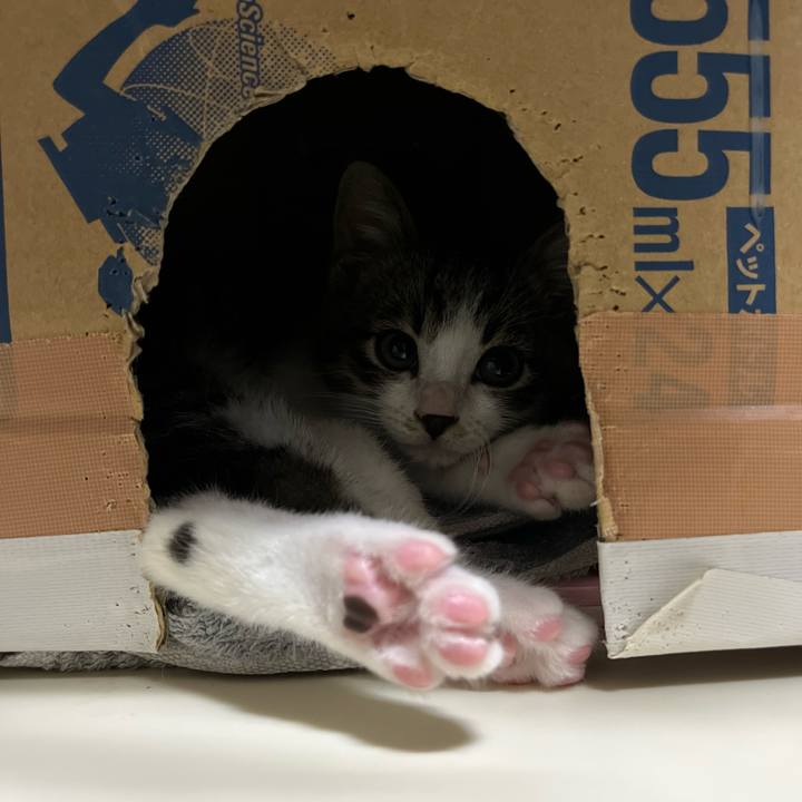 114aed9e 7bcd 4611 bb20 9b3f4b4299be 1766303357453