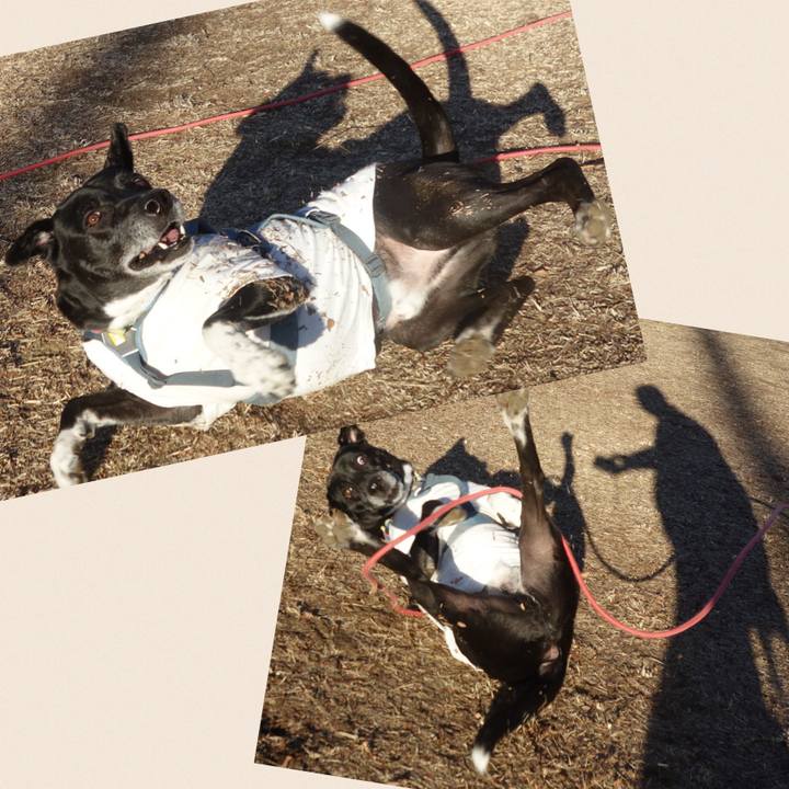 114af06f 690d 4b1f ba5d 3e32cf5533cd 1706318968645