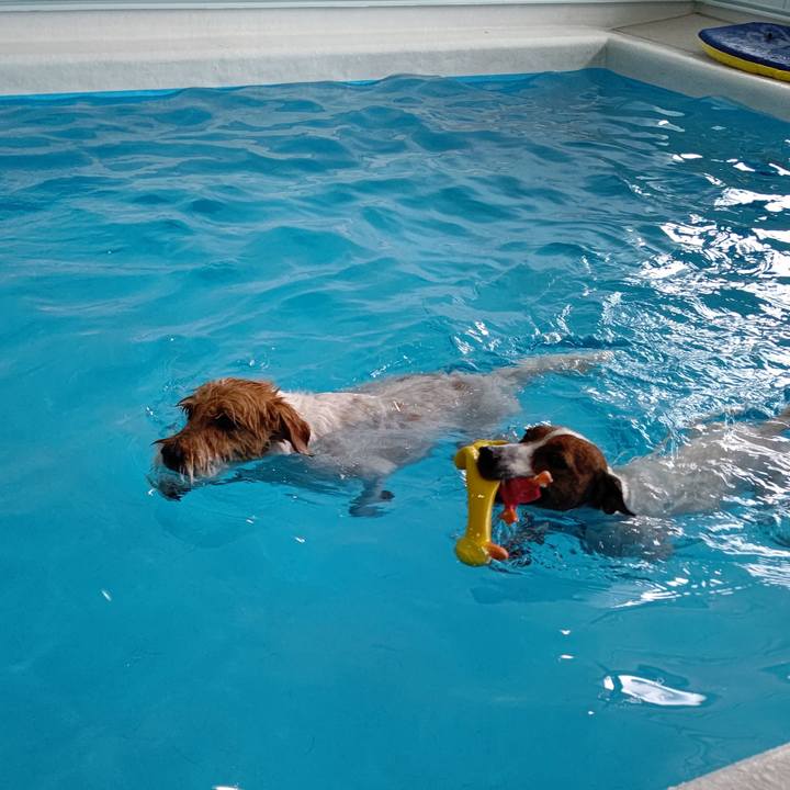 114af8ef 4b46 46b3 931c 41d07a23e943 1659776559688