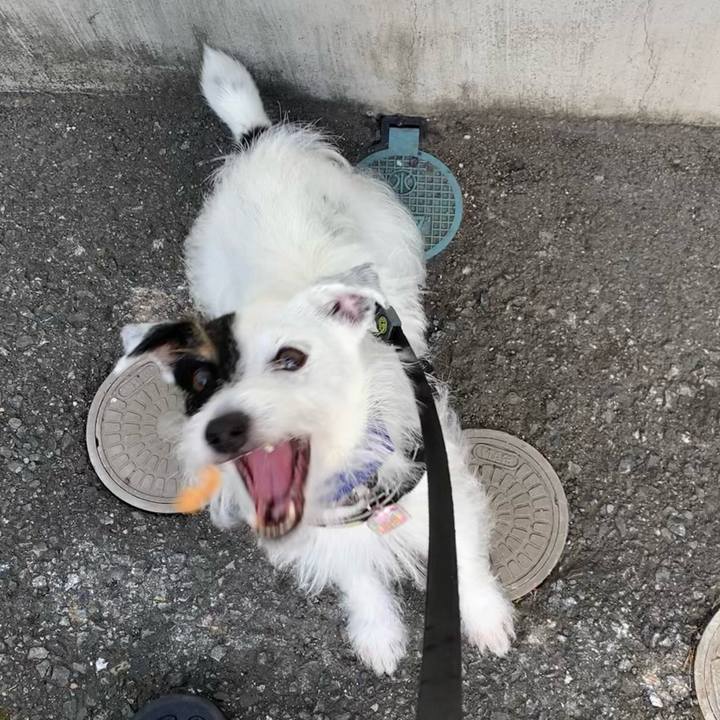 114b05bd 44e3 4b11 a60d d1e8e52226f9 1659170459673