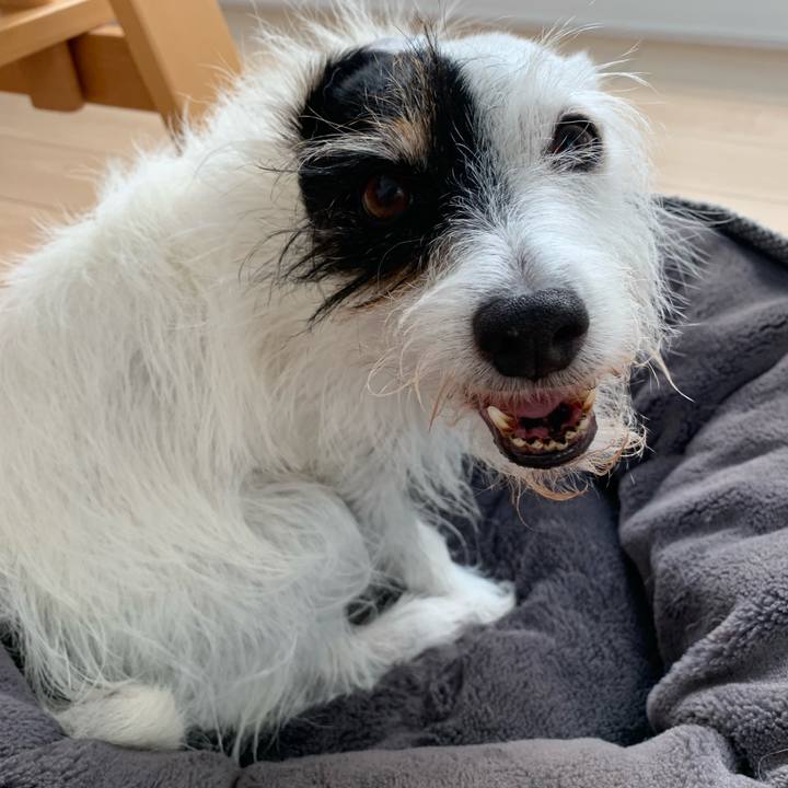 114b1829 08d6 4854 abf5 b8d50e107a2f 1756428039056