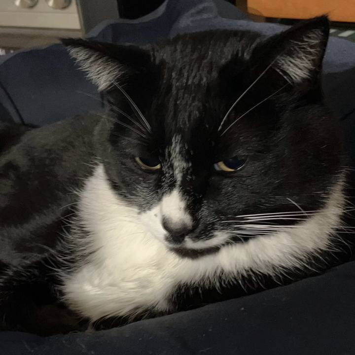 114b7382 1d67 415c 85c4 71ace01ad704 1707450080750