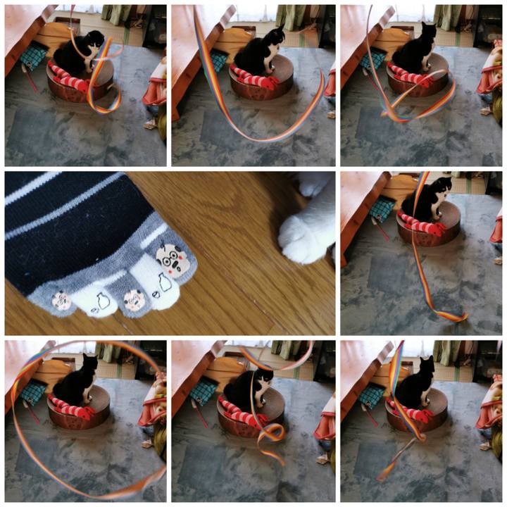 114b87de e6a6 45fb b8c5 3f4cc2c457ef 1680927684169