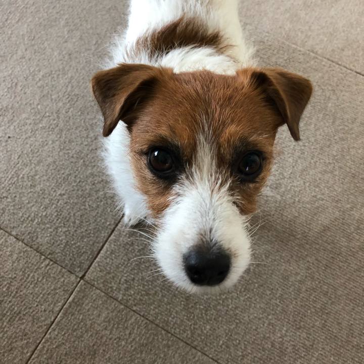 114bafa1 9a9d 4edb 85c5 9f6a8e8ad5aa 1520762485855