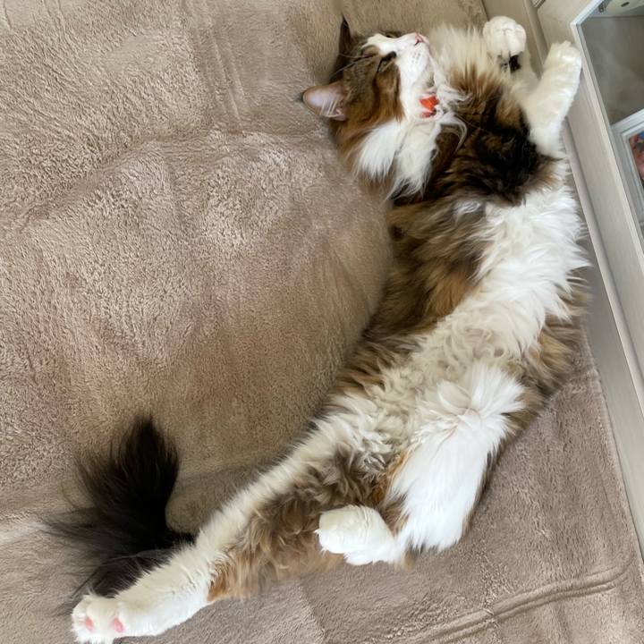 114bbe27 30da 4ac5 862e f9ddbdd26a42 1697342022014