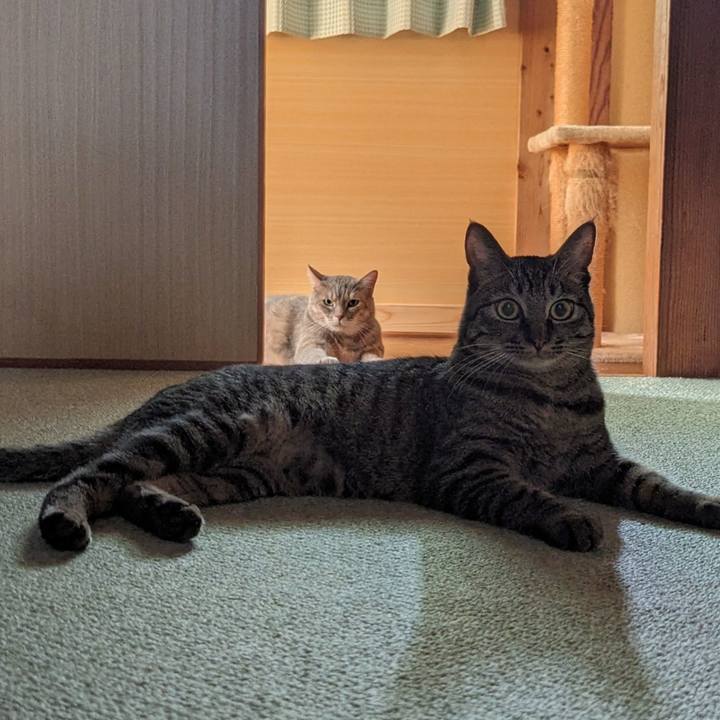 114bc11c bf57 49b7 9293 abe1b03f996c 1718081202165