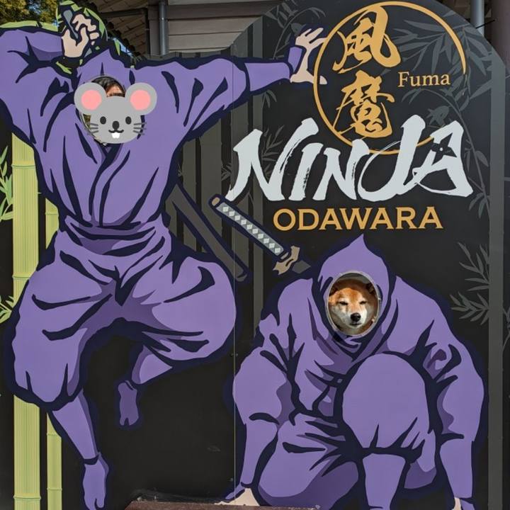 114bd339 c0c6 4793 9861 5f46bc06adae 1710771844117