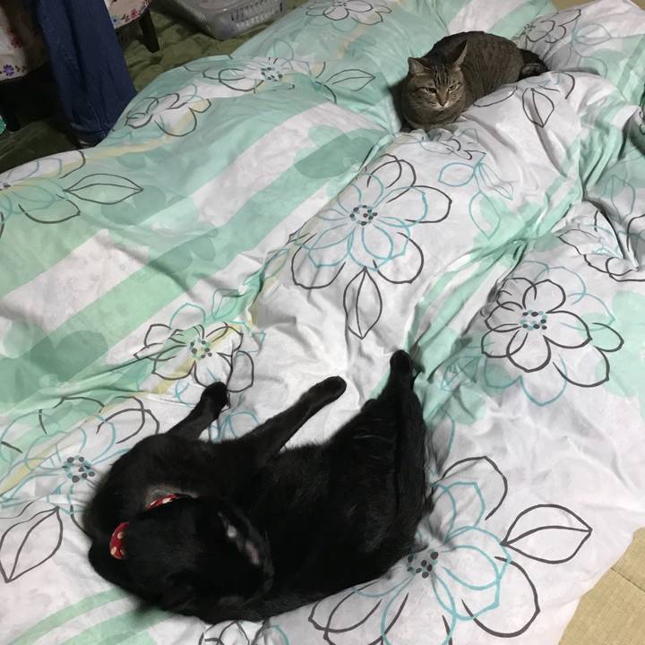 114bd63d bed7 4e3b affd 293ab1b29f98 1508509072609