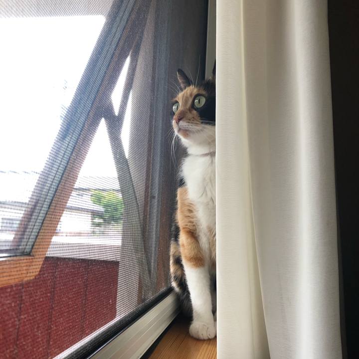 114bf396 a399 4e79 af10 108bf78c6d4d 1598059944248