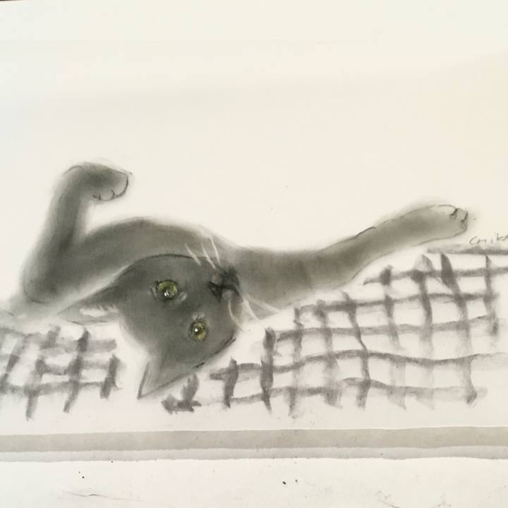 114bfb69 919f 41f9 a947 602a567521b8 1608118954253