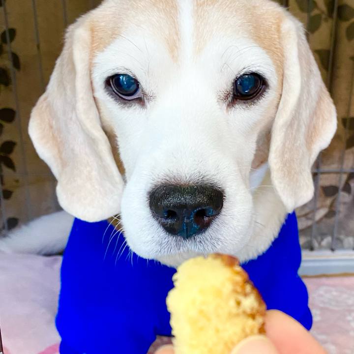 114c0ae6 982b 463e 8e95 678992d6e2f6 1639368232077