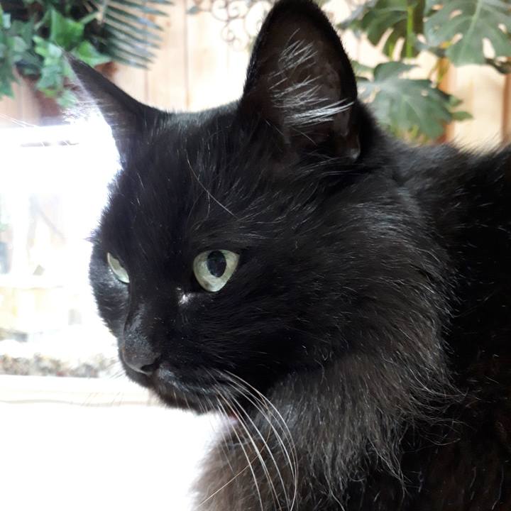 114c1350 99cb 4e2a bca2 71ff95899fa4 1518897969814