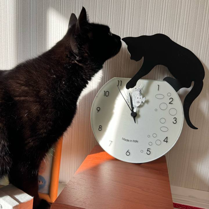 114c1a40 cf56 4187 8297 a5c629747c2b 1712748520458