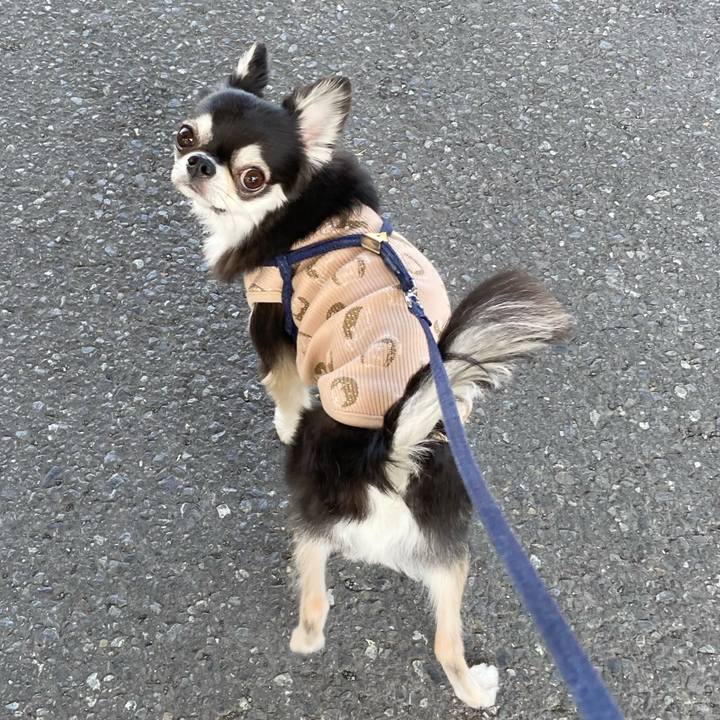 114c3673 d726 4ad7 b720 6417cc0b1759 1683087667843