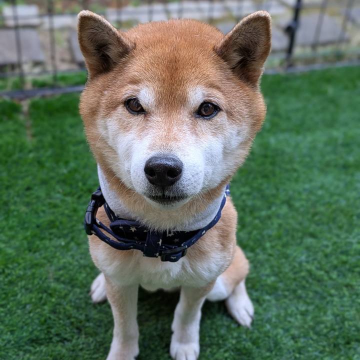 114c4277 93f9 4cdf 9e56 1e221d2691bc 1740369993668