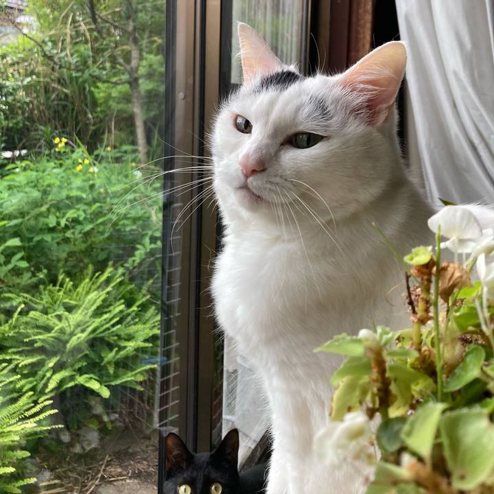 114c4ea3 5a1f 402e be68 d6489e088805 1654232138629