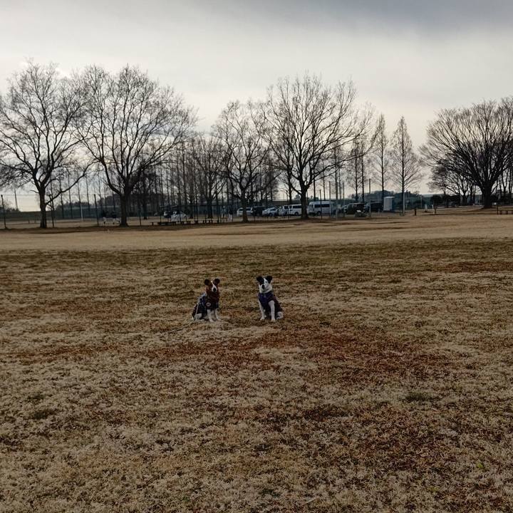 114c7d7c d708 4ae9 9c15 f59d751eedec 1676787887545