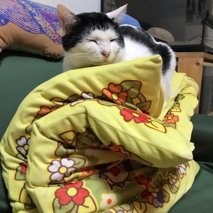 114cb9f3 0607 45a6 ac69 de74b78f5d89 1576943761732