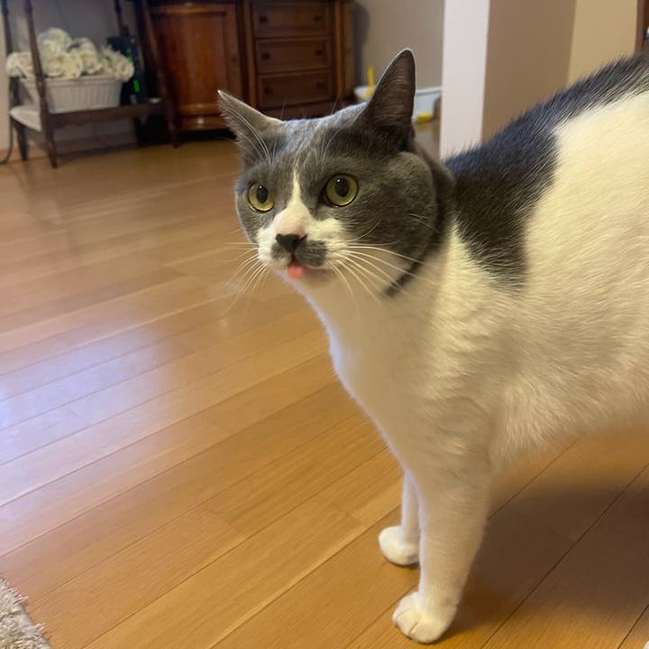 114ccfab 15ec 41f5 bbca 07cab8b79dc2 1735975866883