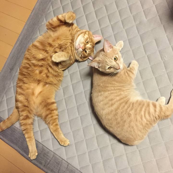 114cdc0b e4ce 4623 b2dc 70fd8ba6ad19 1559115472600