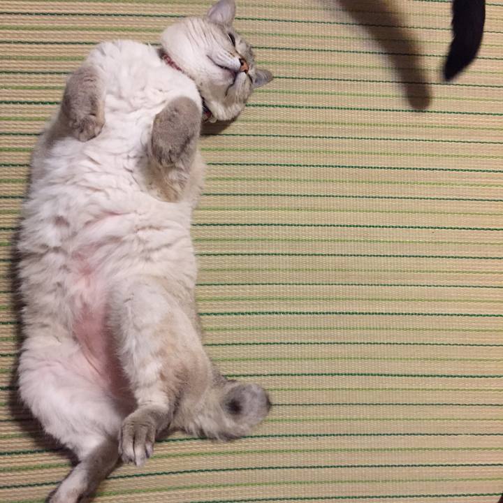 114ce567 c503 406d b9b5 fca6d7d142b1 1529149884215