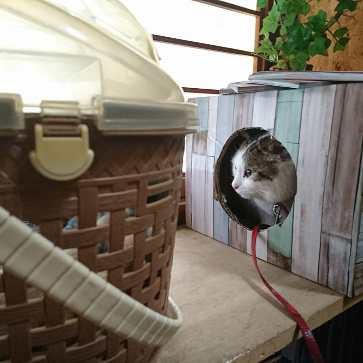 114d290f c3a6 4dc4 bd67 bf644fc786e3 1543723136440