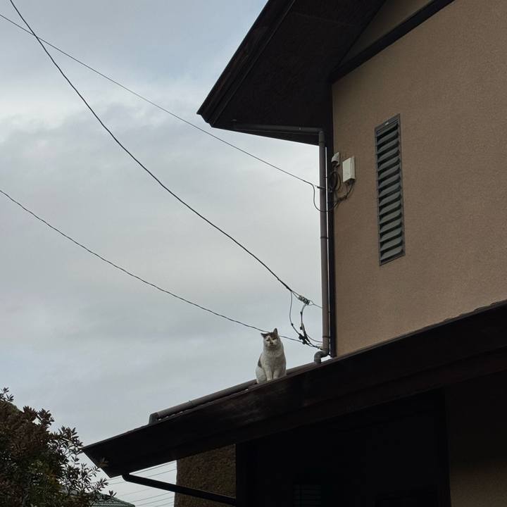 114d59cd 8511 4678 b9b8 92cb345682e8 1771900443660