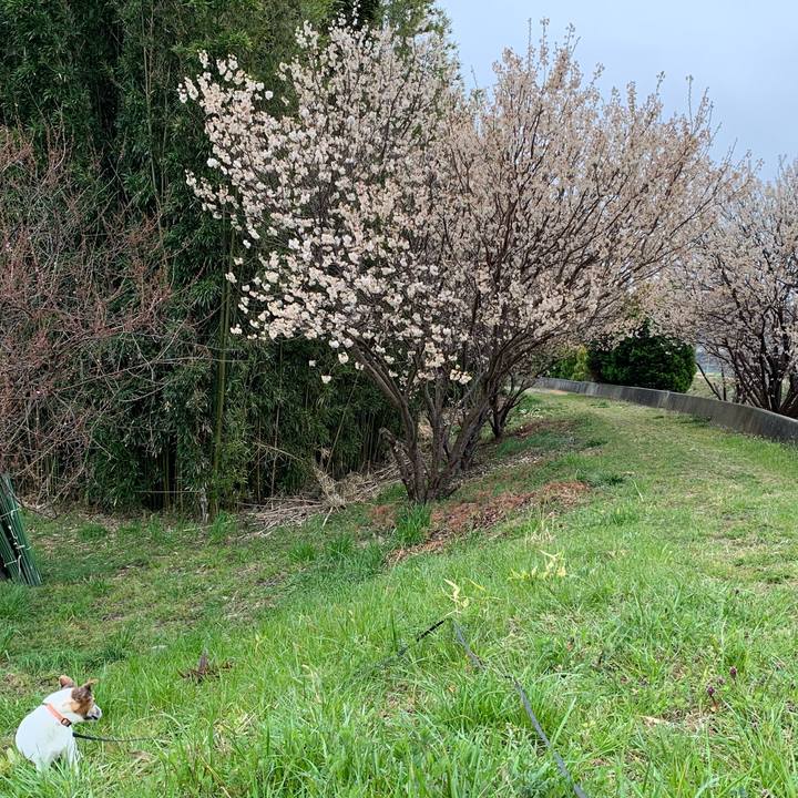 114d7f5e 82ac 4f1a b031 237b75ffd17f 1615505327070