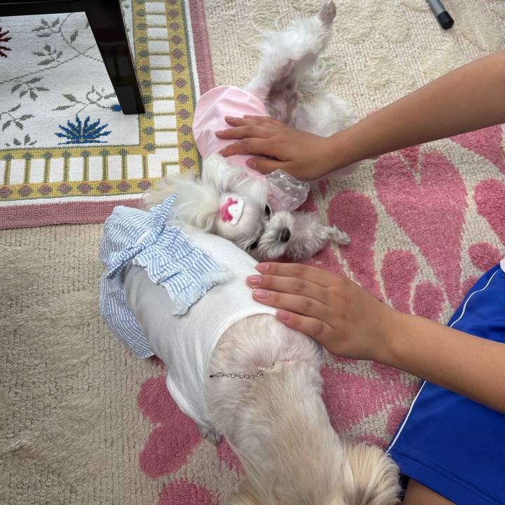 114da2de 4572 40be 9a5f e2dcda524bb6 1746005817388