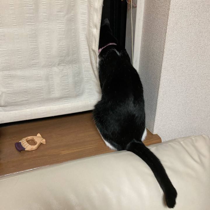 114dc361 e3d7 4661 ae3e 764c2289a3ee 1659360859721