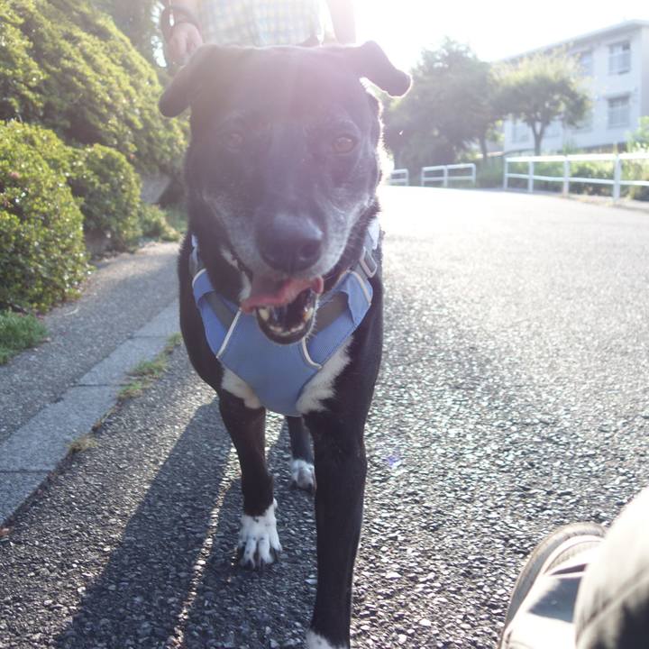 114de132 989e 4f7f 8438 36663b1e1537 1723504886797