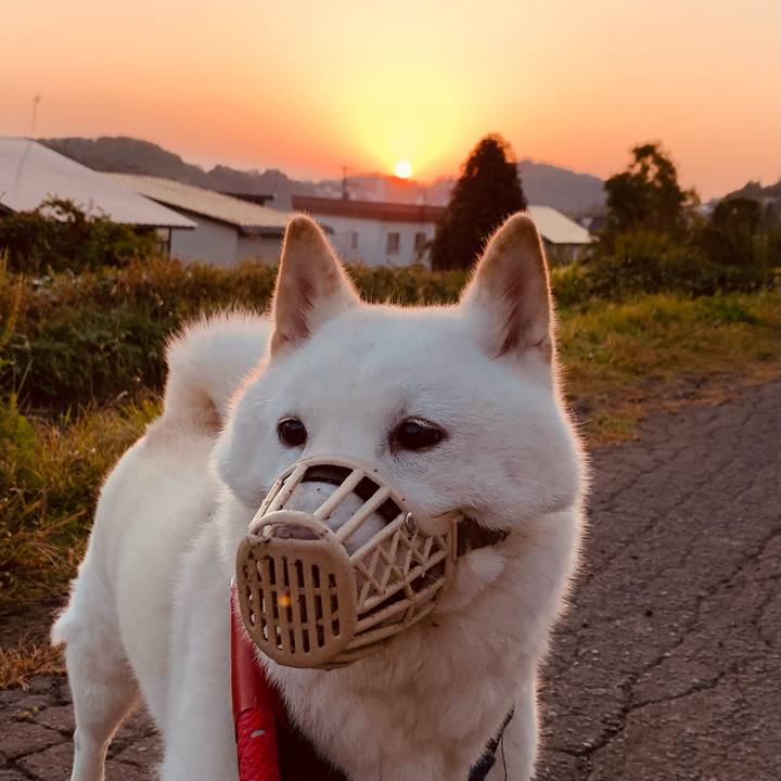 114e0971 0b90 46d9 8e70 235e174ef7a7 1664400636779