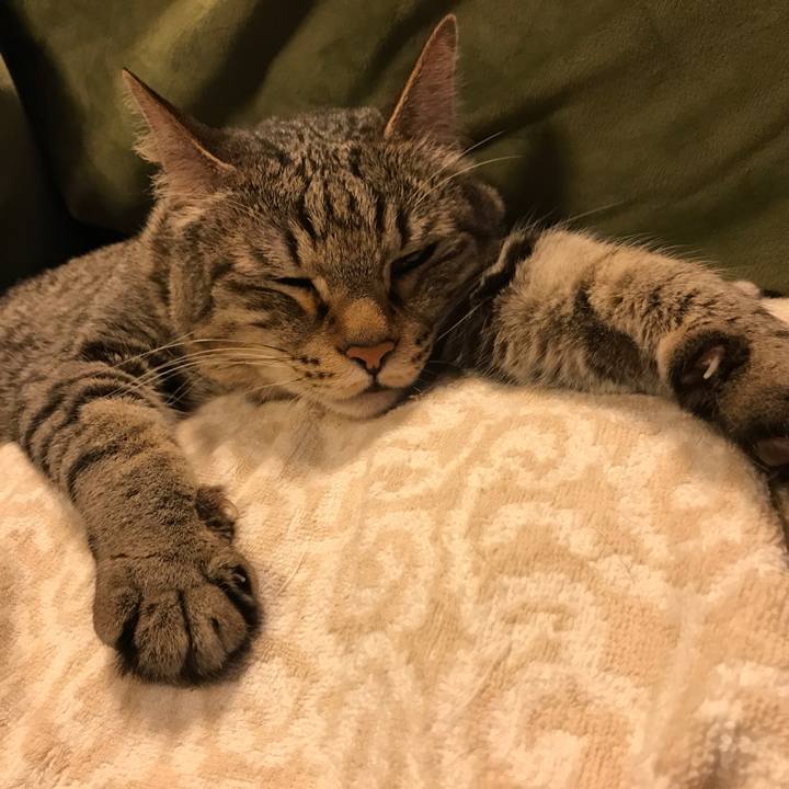 114e4728 f1ac 4972 a138 2fe24df5da7e 1561129762332