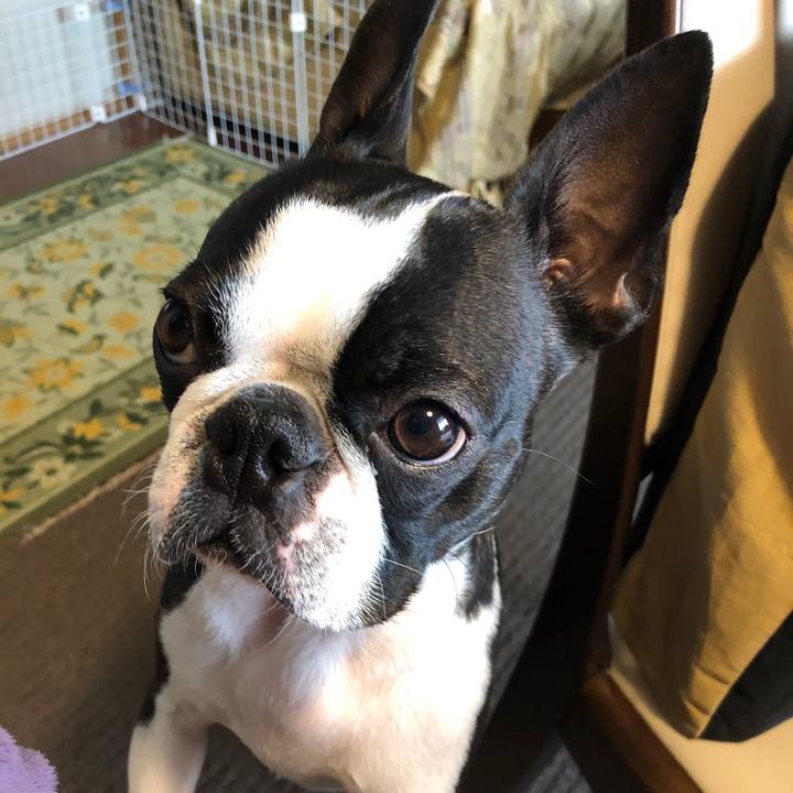 114e514d 3c0a 406b 86ae ee8c4ecc5a13 1551315630069