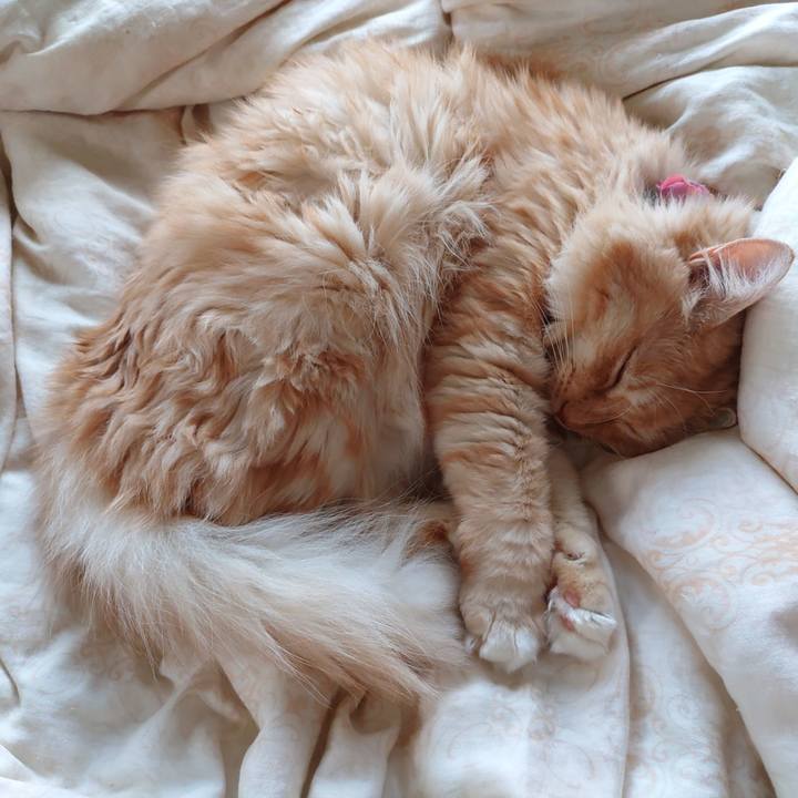 114e69a3 5a3d 4169 aac1 bf1032666d53 1664423087104