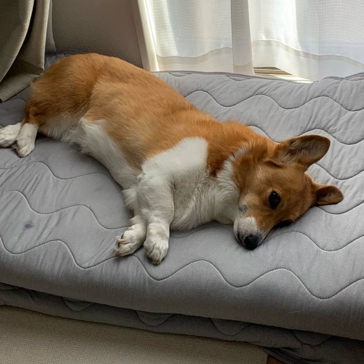 114e72aa 02b5 4d36 ab75 4a83dc88fb8a 1682241605519