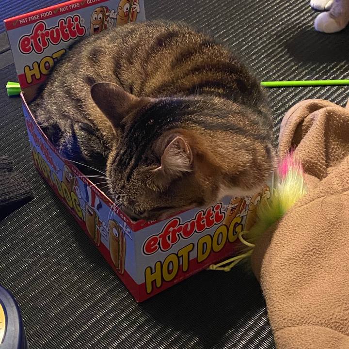 114e8e1a 5578 4d80 9e18 9304a06ae59e 1583173179504