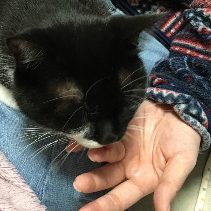 114eaf79 f801 4c9d ae49 9df28044fa2a 1544438097106