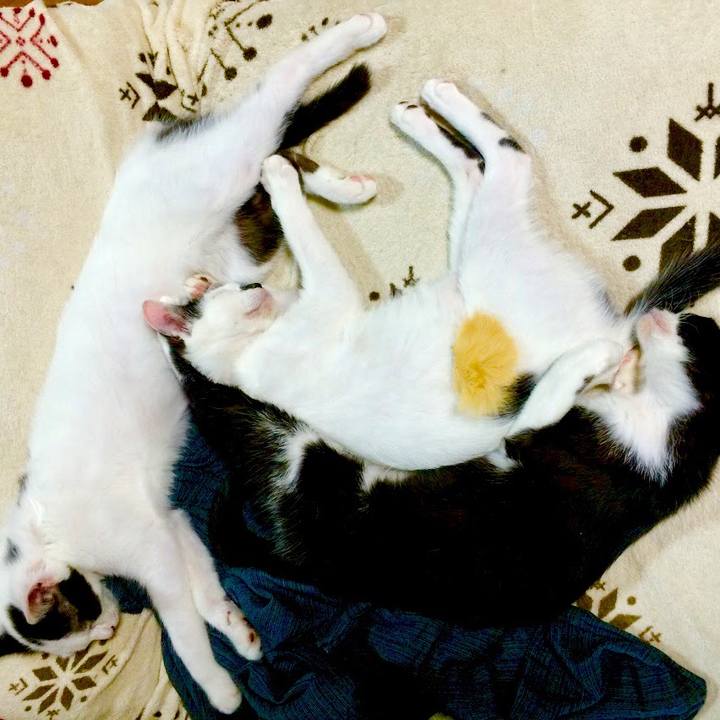 114ec2aa 8191 442b 886a 50fe8eea22cc 1524522406863