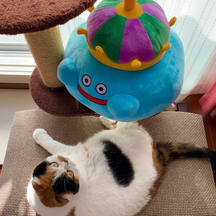 114ec9da b5a1 4f98 81b9 14dbf4a79c1e 1568847144175