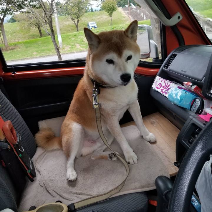 114ee76a 294e 4229 b6aa dbe4c47171f2 1664264498623