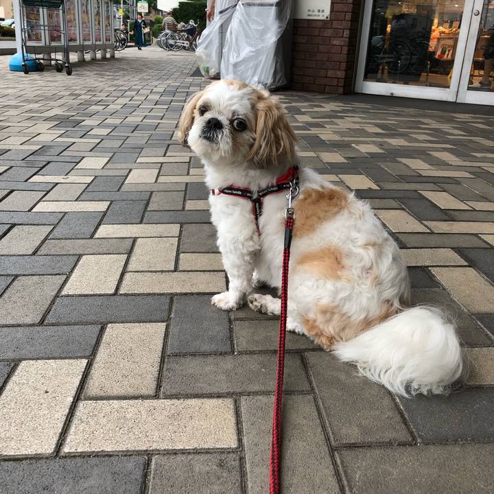 114ee934 f446 42b4 a4d6 32b03280e1d5 1561930988137