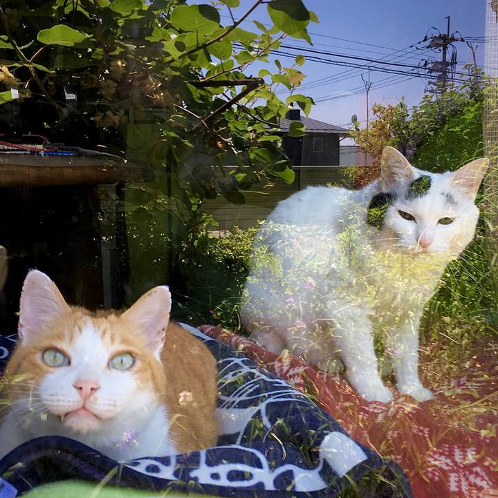 114ef44c 9e08 47e9 a64a fc62c2c191be 1591516088477