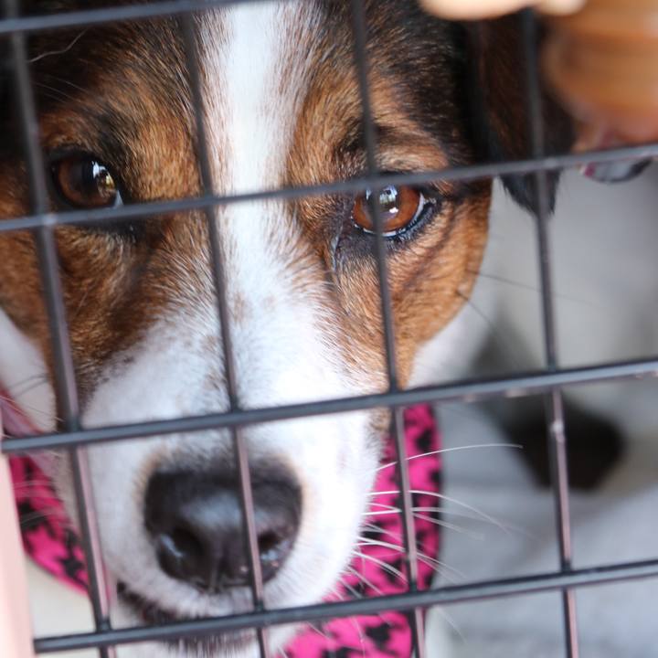 114f5804 b019 4098 8bd5 7bd673dfd3ad 1521885802372